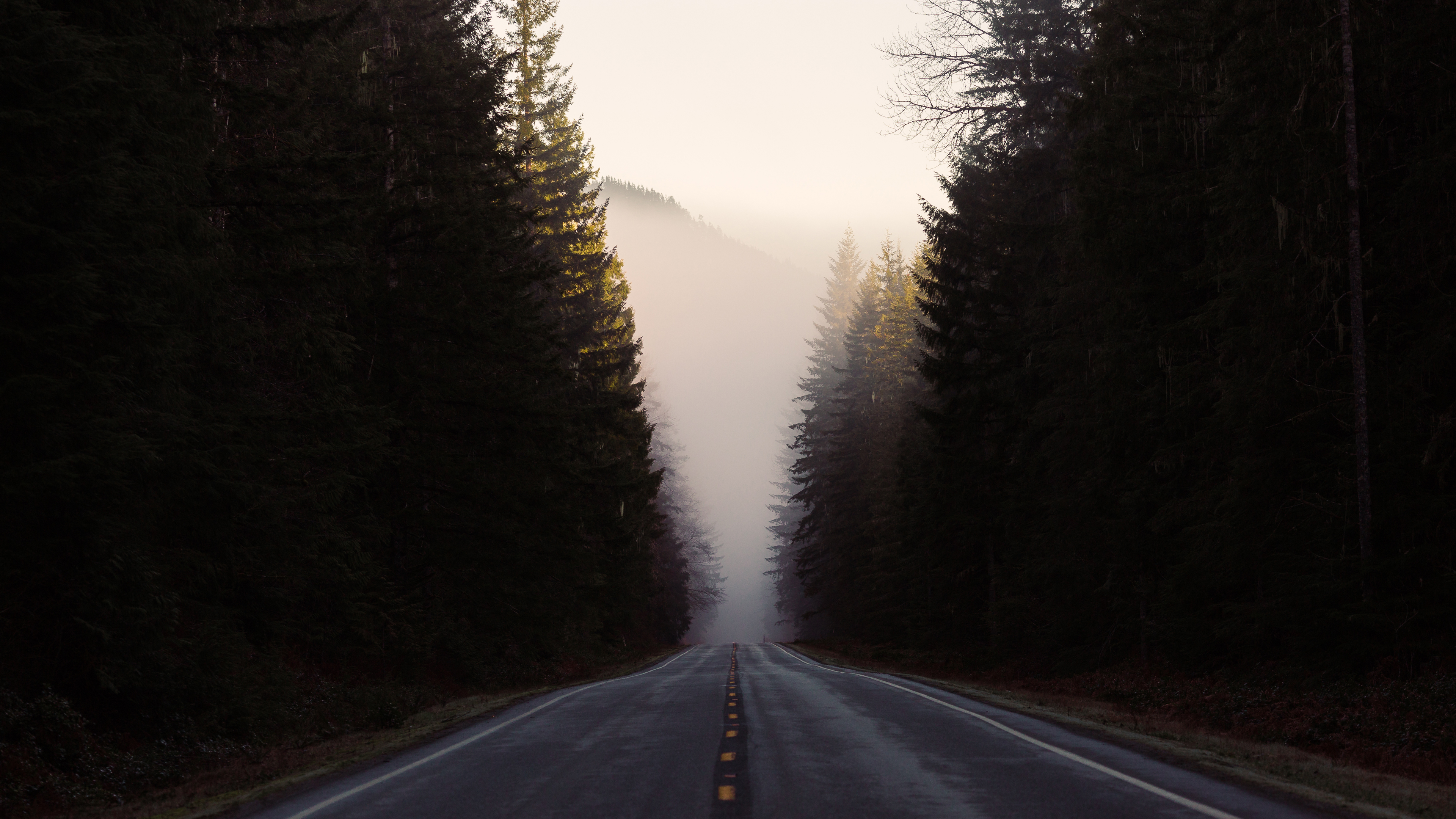道路 森林 自然风景4K壁_10843