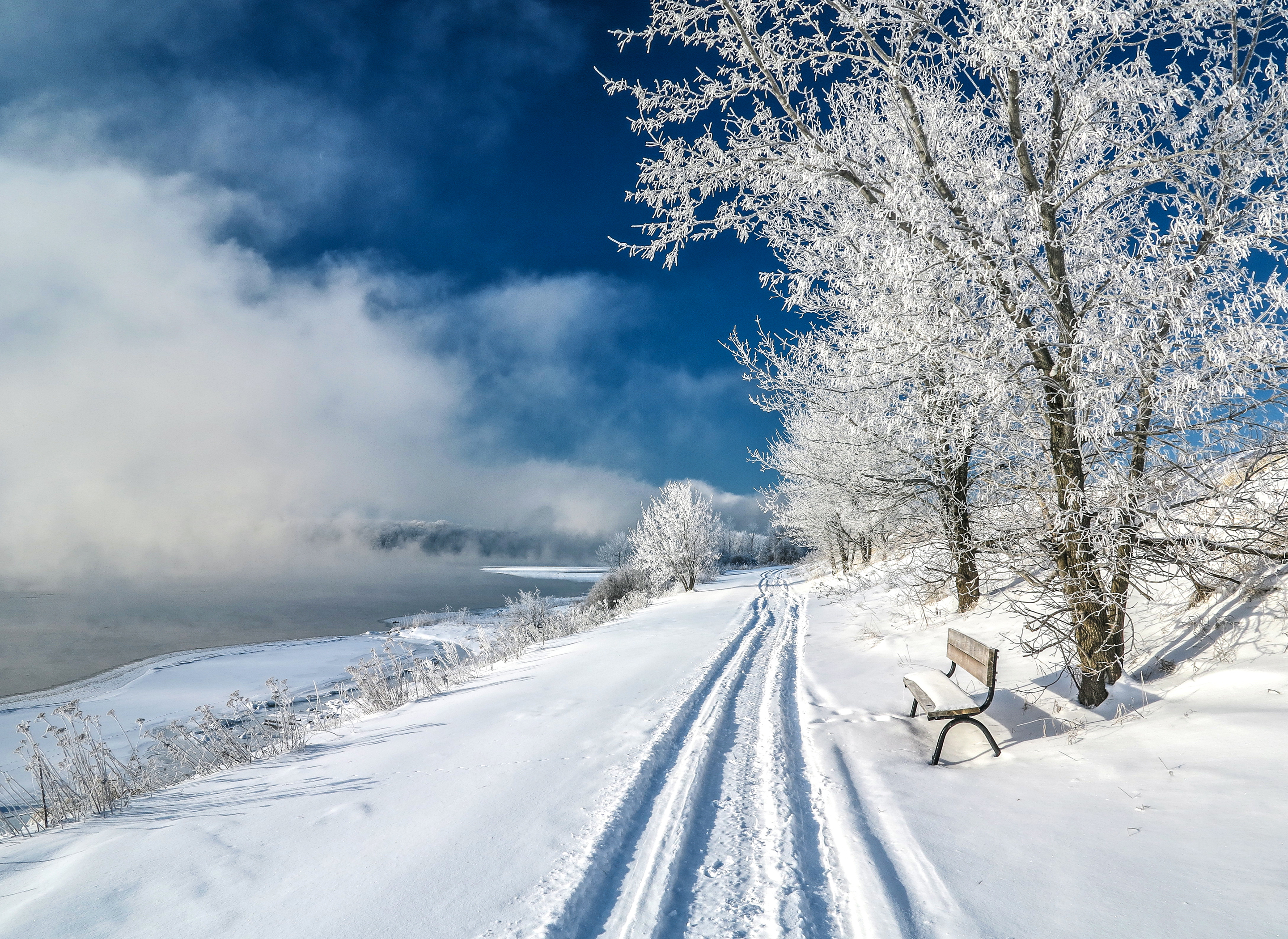 雪,冬天,道路,树木,椅子_3888