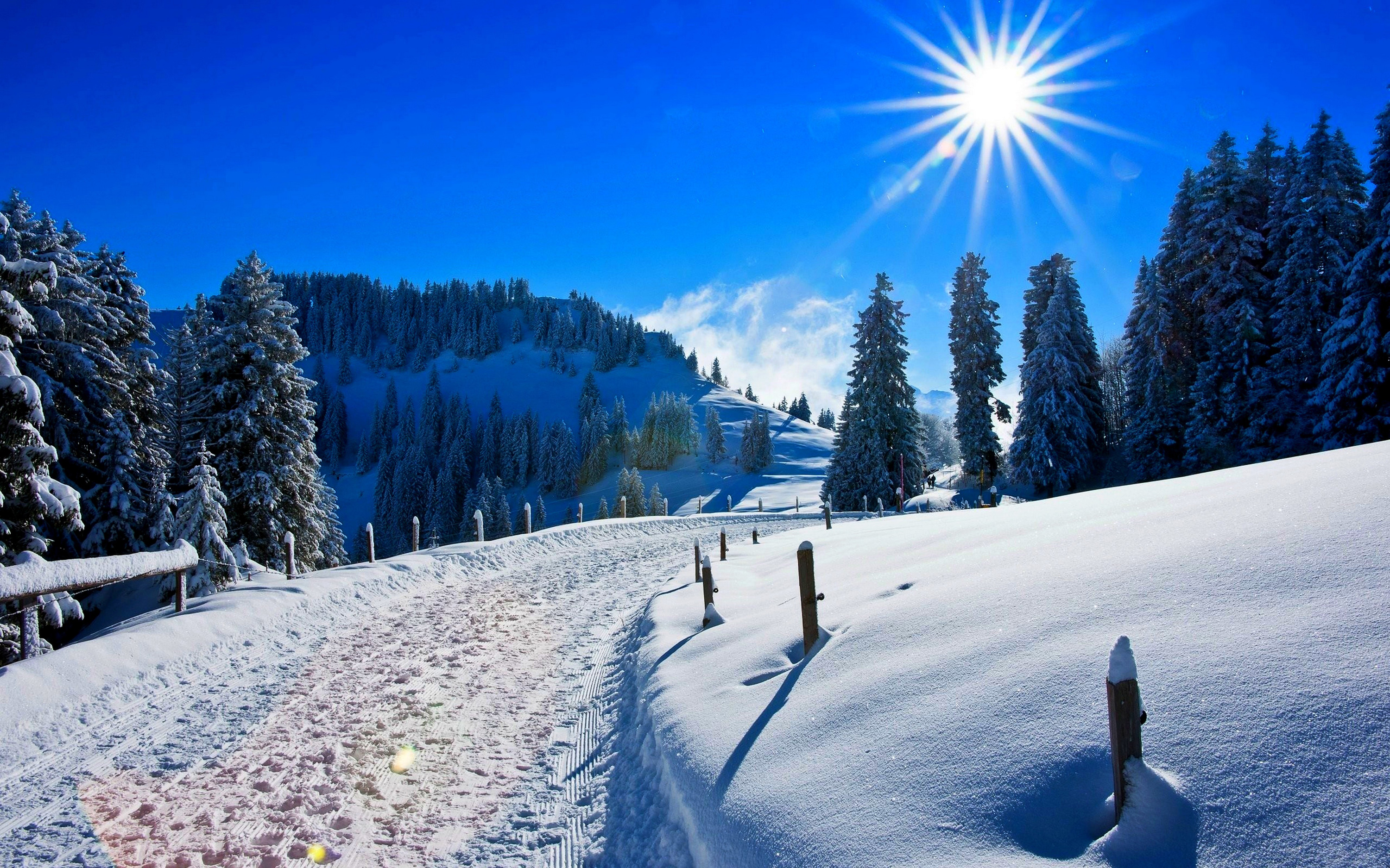 雪,森林,阳光,高山,冬季_3774