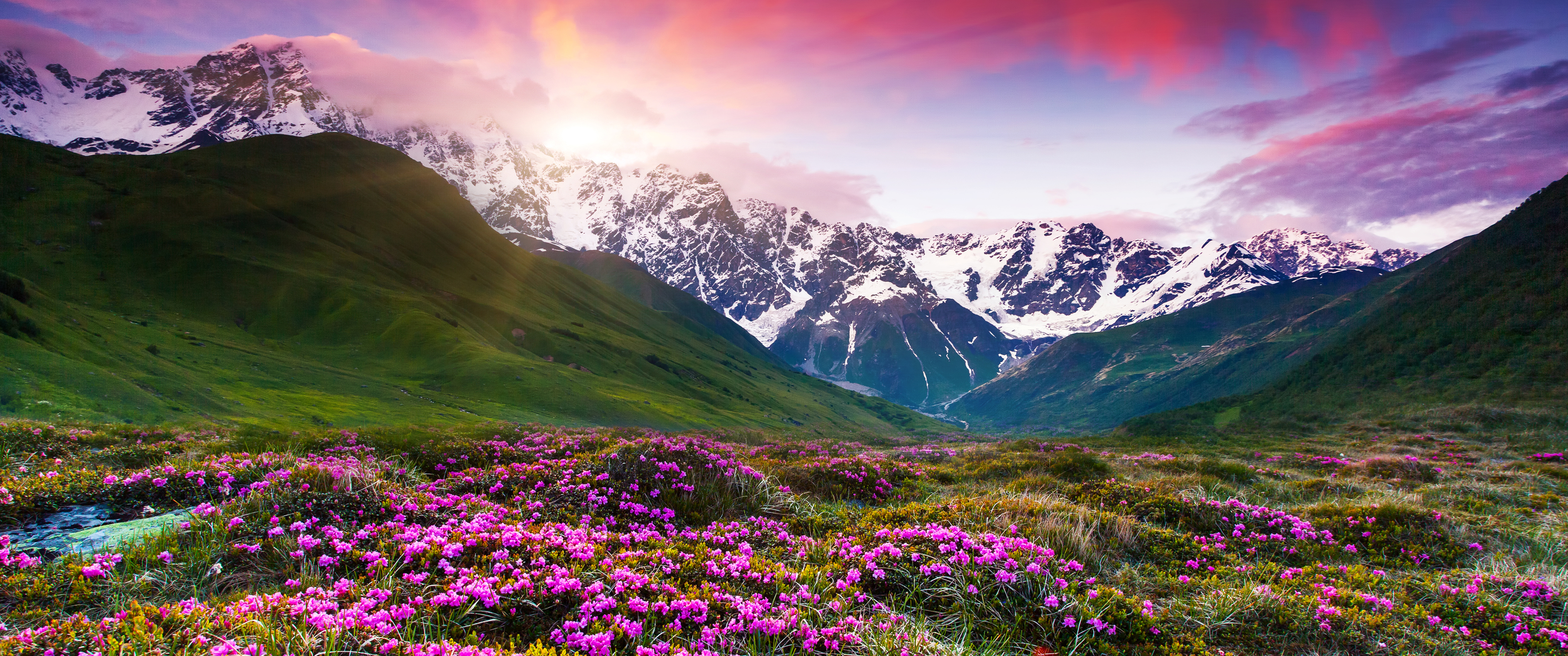 雪山开满鲜花的草地3440_20349