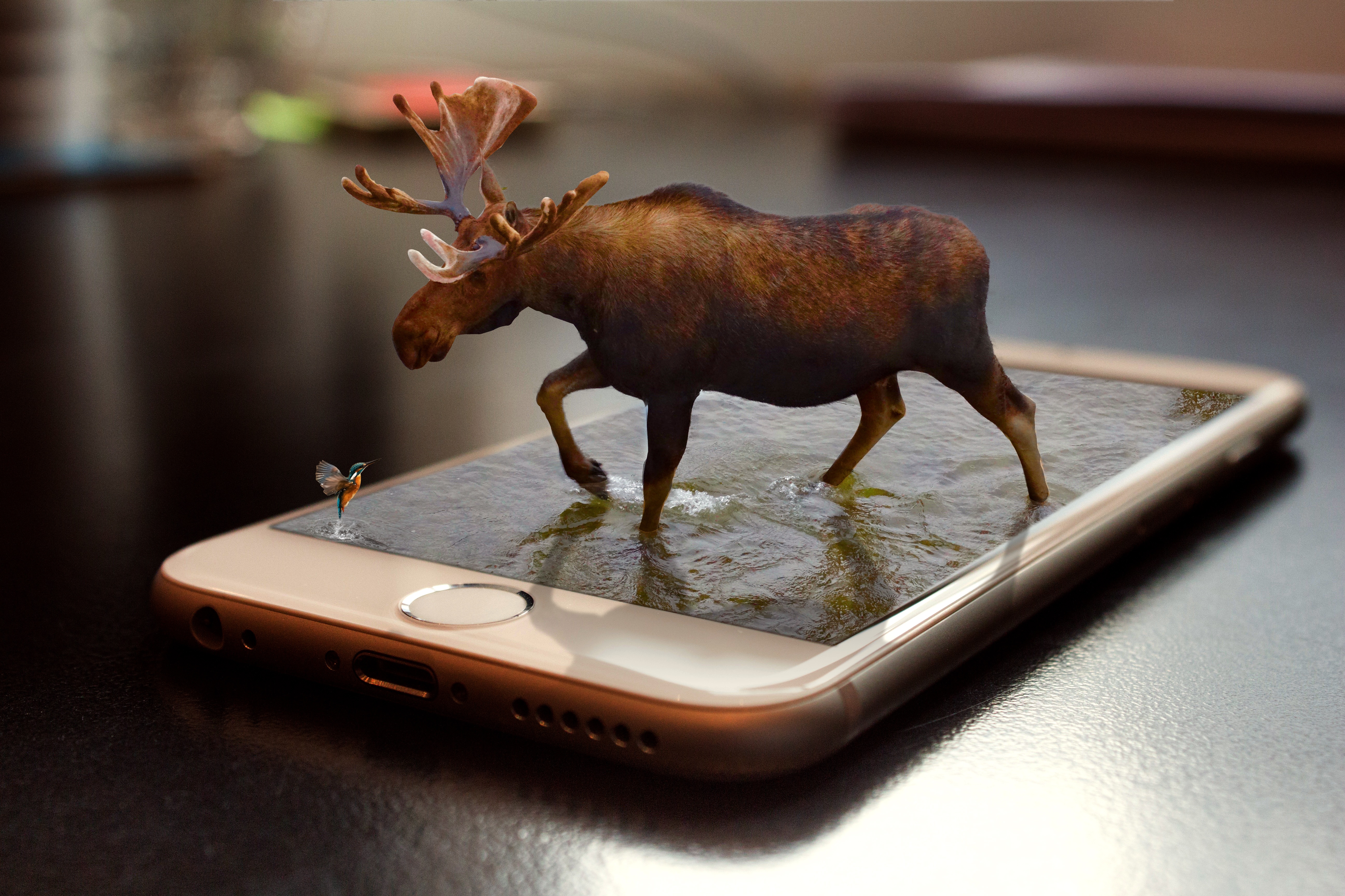 驼鹿 3d 电话 水 智能手_12734