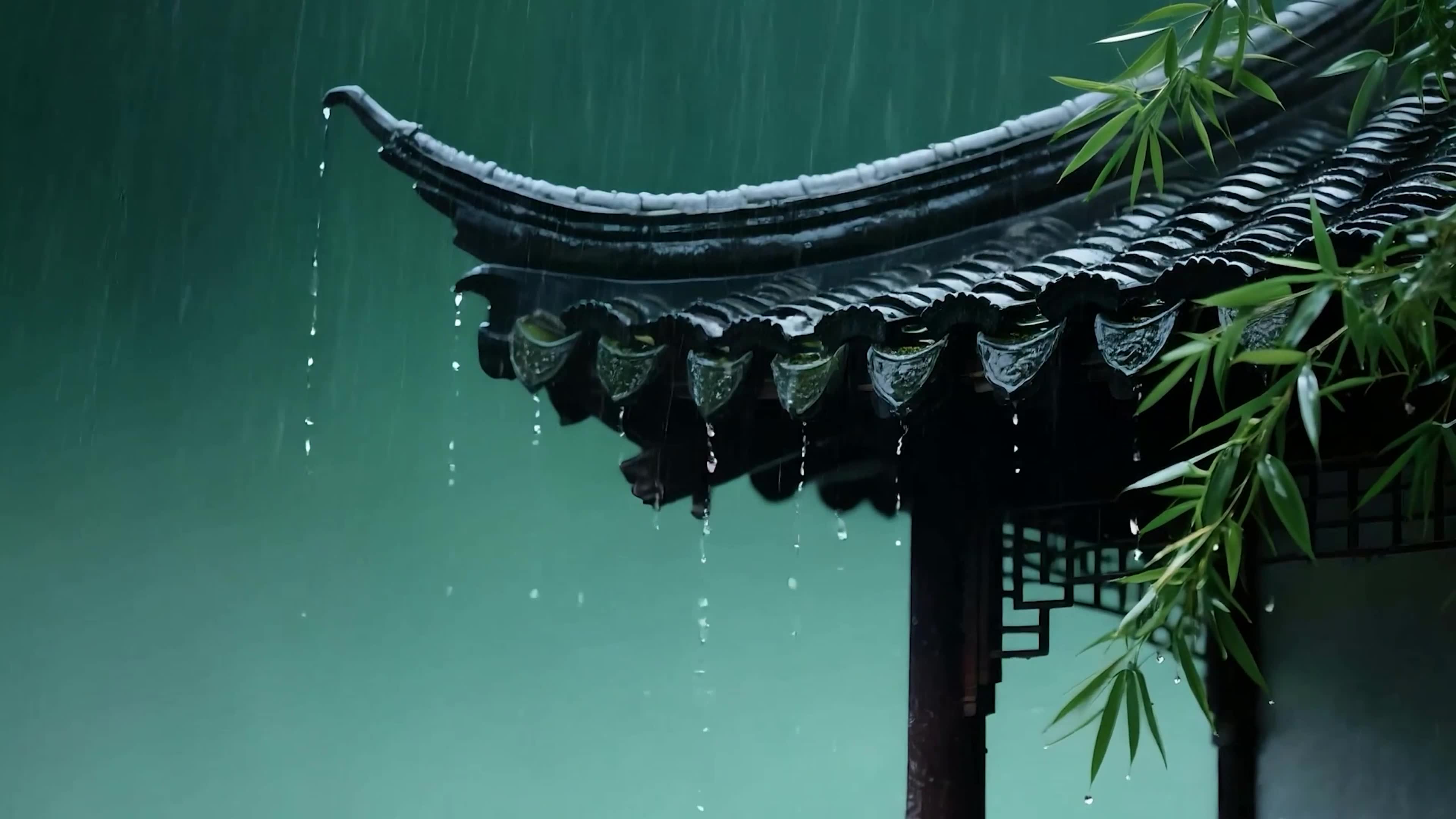 雨天树木