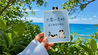 只要心态好